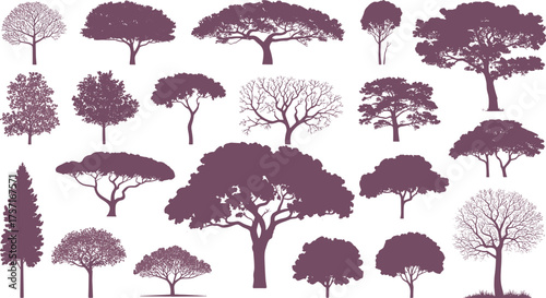 Collection of diverse tree silhouettes in various shapes and styles, botanical illustration set for nature design,