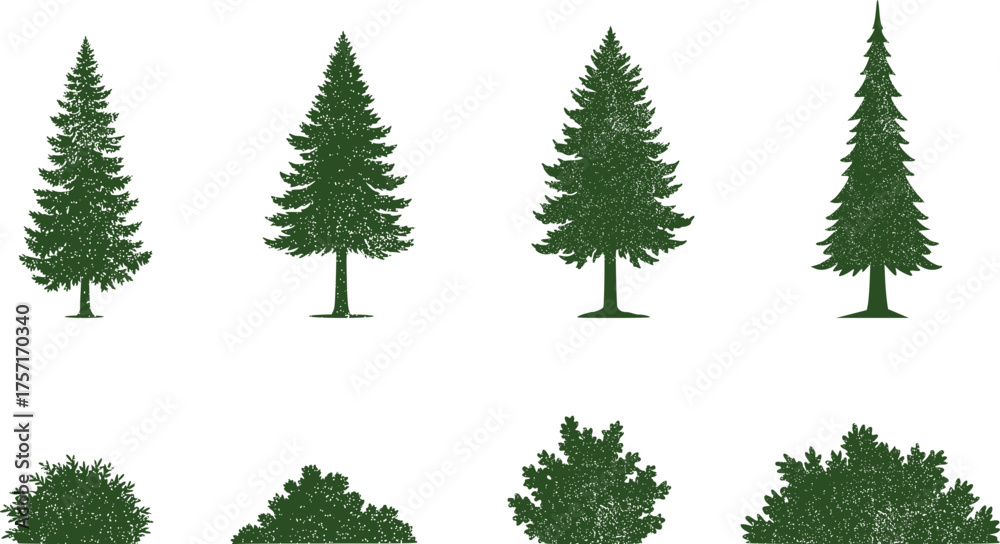 Fototapeta premium Set of vector illustrations of pine or fir trees, and shrubs, in vintage style, suitable for logo themes, t-shirt designs, and vintage posters.
