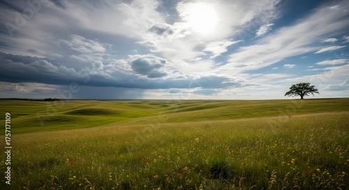 Fototapeta Naklejka Na Ścianę i Meble -  Dramatic storm clouds gather over a wide grassy plain with a lone tree silhouetted against the sky