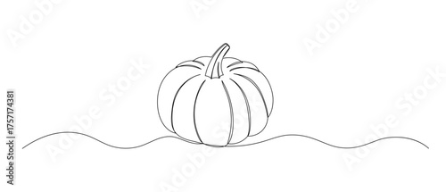 Pumpkin one continuous line illustration. Hand drawn vector sketch isolated on white background. Autumn food design