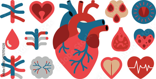 Heart Illustration Featuring Heart Anatomy, Blood Vessel Symbols, and Simplified Medical Icons on White
