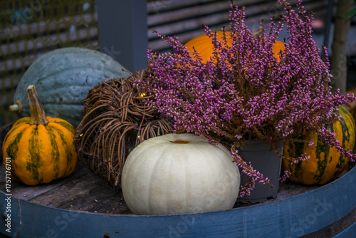 Autumn garden decorations. Pumpkins and heathers on a in the garden. High quality photo