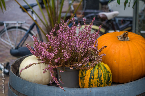 Autumn garden decorations. Pumpkins and heathers on a in the garden. High quality photo