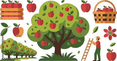 Apple Harvest Illustration Trees, Basket, Crate, Ladder, Farmer in Orchard, and Flowers on White