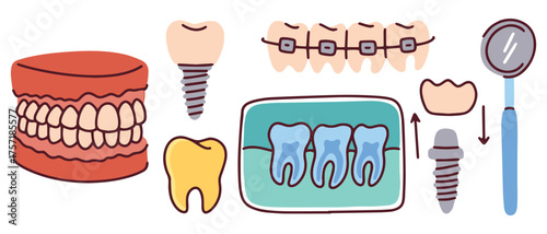 A set of professional dentistry items. Includes dentures, implant, braces, X-ray, and examination tools. Concept for dental clinic services, treatment, and prosthetics.