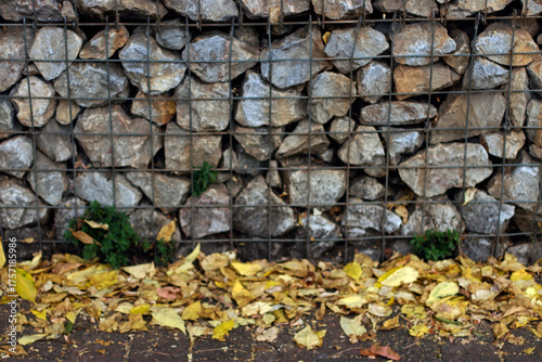 Autumn colors in the park