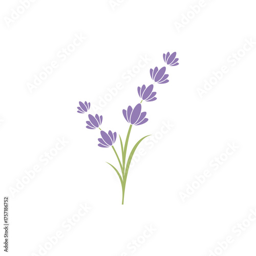 lavender logo design for your business
