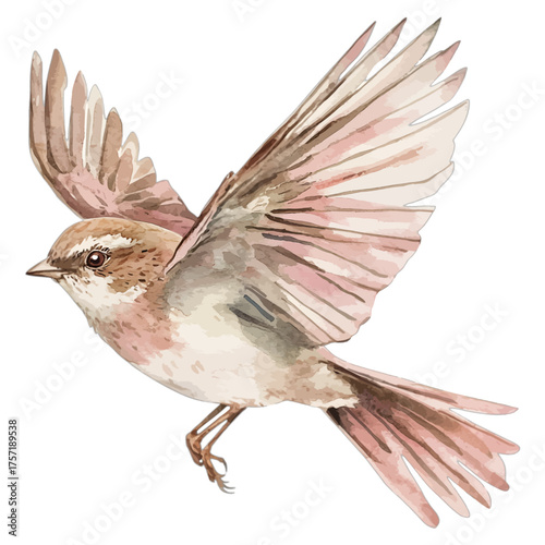 Watercolor Bird in Flight Clipart: Rustic Sparrow or Nightingale Illustration
