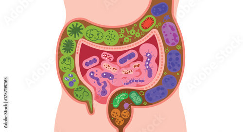 The Human Gut Microbiome A Diverse Ecosystem Within Us