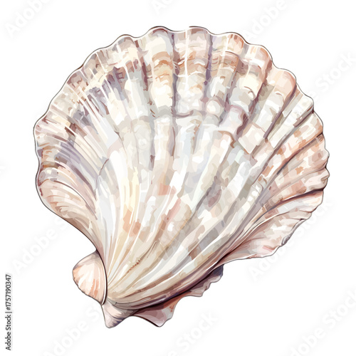 Scallop Shell Clipart: Elegant Seashell Illustration