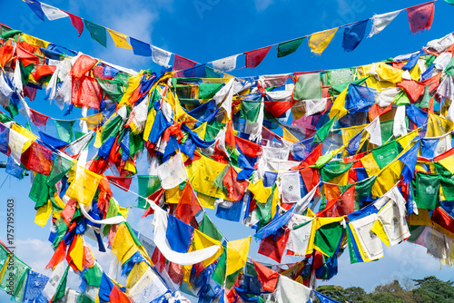 Dalai Hills Buddhist Temple with Tibetan Prayer Flags and Scenic Mountain View