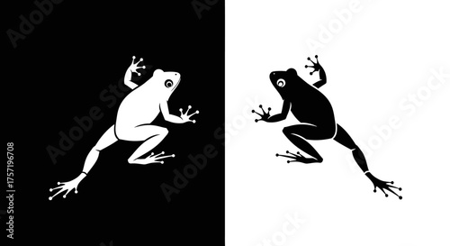 Monochrome frog silhouette graphic in black and white versions.