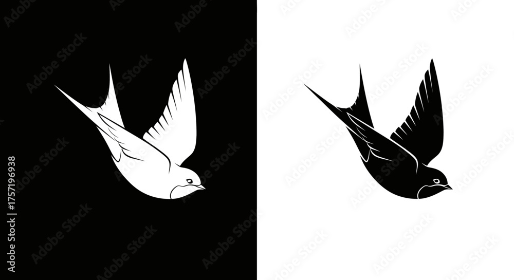 Obraz premium Elegant flying swallow bird graphic in black and white versions.