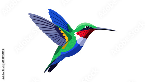 Vibrant hummingbird illustration colorful vector design of a flying bird isolated on a clean white background