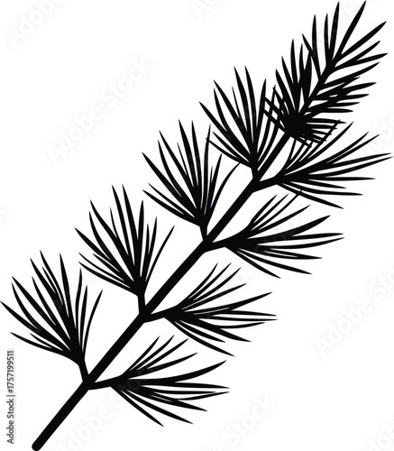 Pine branch silhouette Black silhouette of a pine branch with detailed needles 2