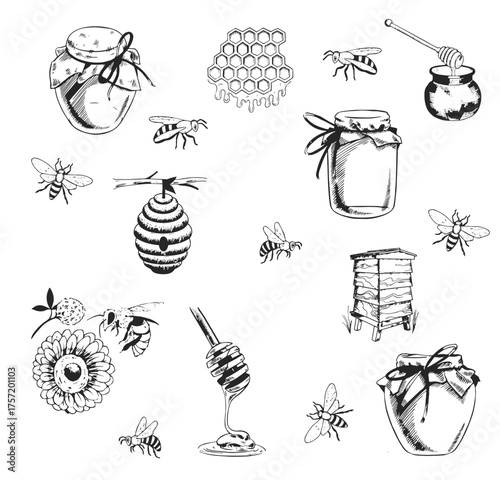 Cute honey set. jars of honey, bees, honeycomb. hand drawn illustration