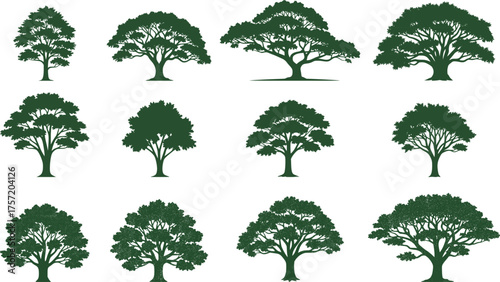 This set of vintage-style oak tree vector illustrations is perfect for landscape designs, logos, environmental posters, or any nature-themed graphic element. Its minimalist and elegant appearance rese