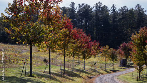 Autumn in the mountains of North Carolina.
