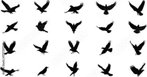 Bird silhouettes, flying poses, avian motion, wing positions, black shapes, nature reference, ornithology study, wildlife design, posture guide, grid layout