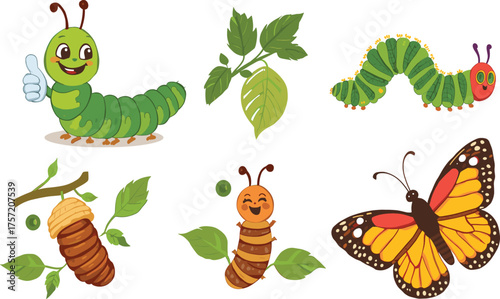 Caterpillar to butterfly life cycle vector illustration with cartoon insect, chrysalis, cocoon, leaves, metamorphosis and colorful monarch butterfly