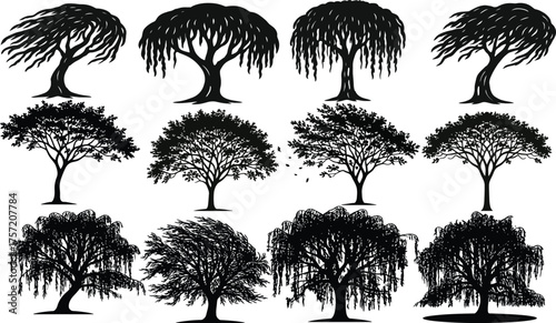 Detailed collection of weeping willow tree silhouettes, perfect for nature, ecology, botanical, and vector graphic design projects.