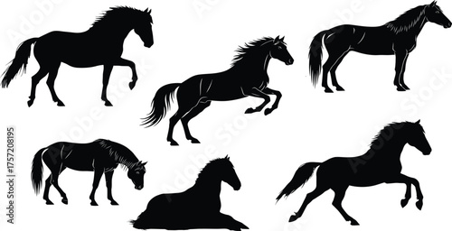 Dynamic Horse Silhouettes Vector Collection, Galloping Stallion, Mare, and Foal Icons in Various Poses, Farm and Wild.