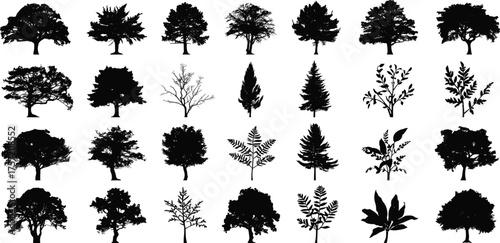 Large Diverse Tree and Plant Silhouettes Vector Collection, Botanical, Forest, and Garden Graphic Elements for Ecology Design.