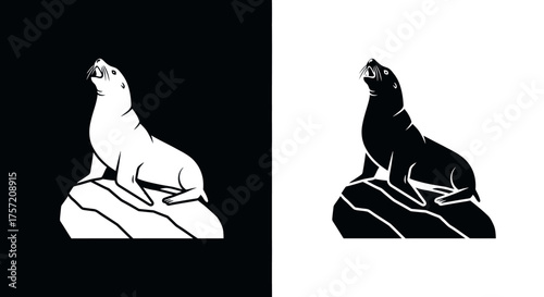 Sea lion silhouette sitting on a rock in black and white.