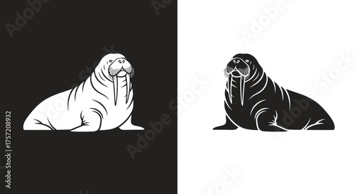 Bold Walrus Animal Logo Template Vector in Minimalist Black and White Style
