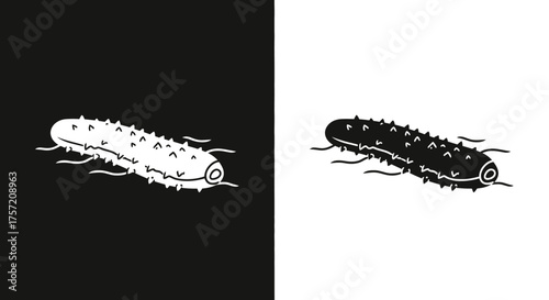 Minimalist Sea Cucumber Icon Vector Illustration in Black and White