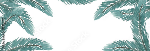 Vector watercolour spruce branches on transparent background.