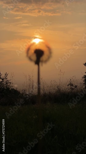 Dreamy Sunset Over Tall Grass