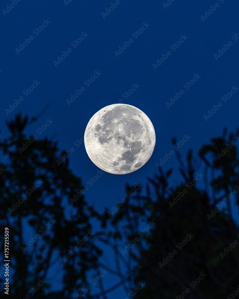 Fototapeta premium Full Moon. Arecibo, Puerto Rico