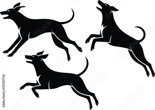 Energetic dog silhouettes in motion, running, jumping, playful hounds, black graphic illustration for design, pet theme artwork