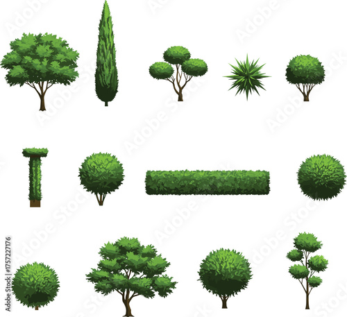 Variety of trees and shrubs, landscape design elements, botanical illustration, garden planning, foliage diversity, topiary plants, park vegetation, educational resource