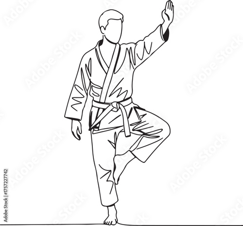 Male martial artist performing a balancing pose in gi Keywords: martial arts, karate, man
