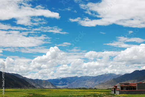 Beautiful landscape with blue sky white clouds and green fields