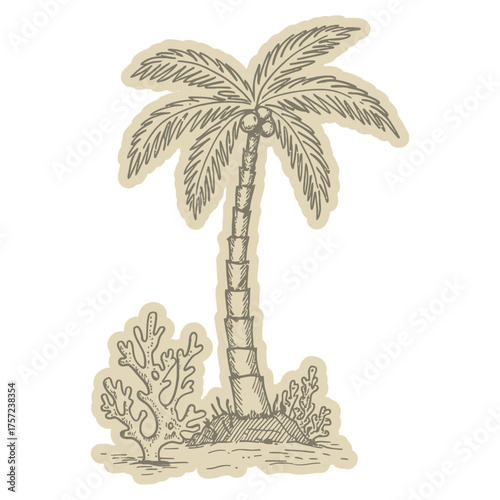 Illustration of a palm tree with coconuts and coral on a sandy beach.