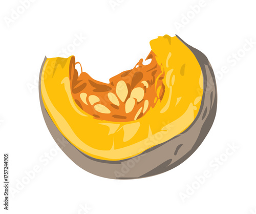 Cut piece of orange autumn pumpkin with seeds. Squash slice. Quarter part of fall vegetable. Flat vector illustration of organic food isolated on white background.