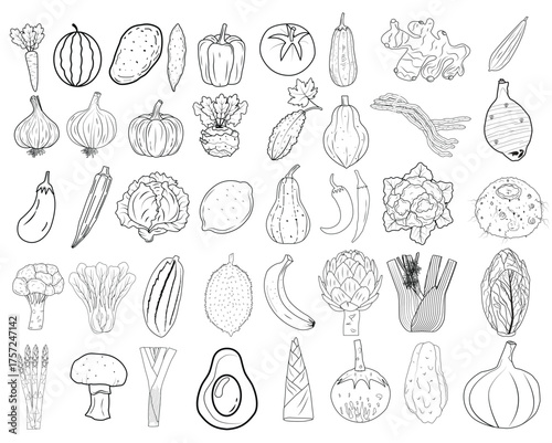 vegetables Vintage hand drawn garden vegetable collection Carrots vector set illustration
