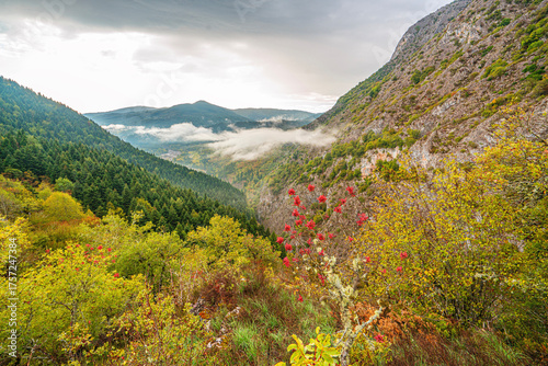 The scenic autumn views of the Valla canyon with its famous observation terrace, which is 