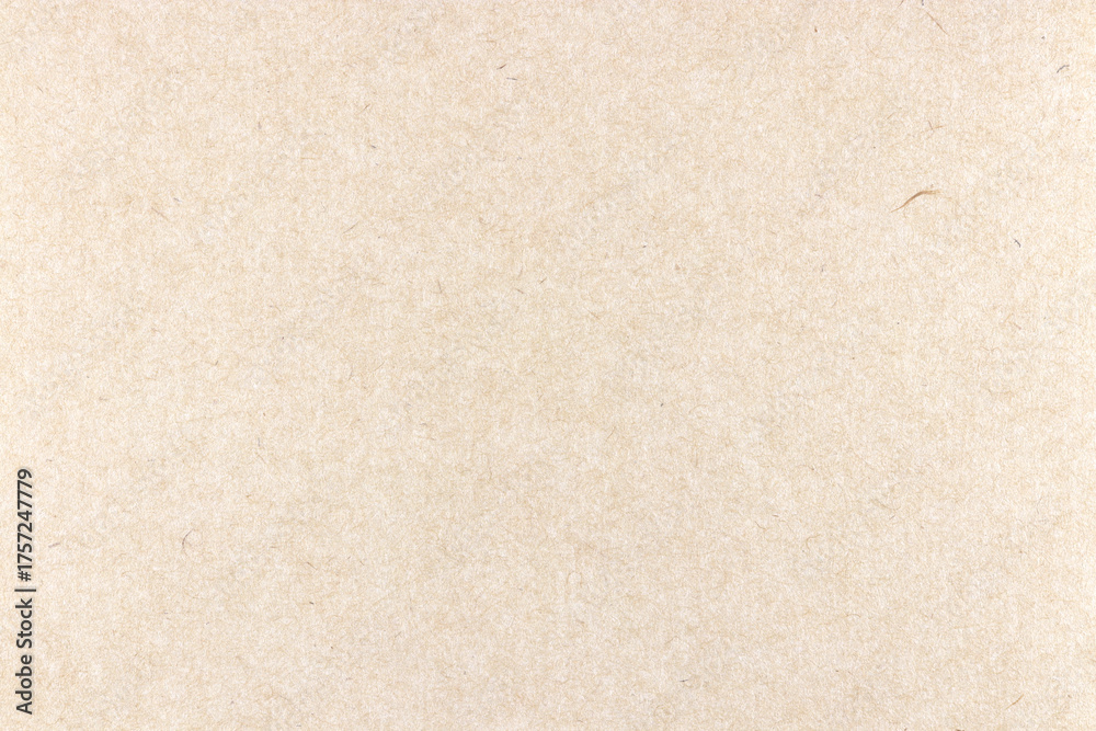Fototapeta premium Plant fibers decorative paper texture. Thin silk hairs kraft decorated paper background. Landscape horizontal orientation.