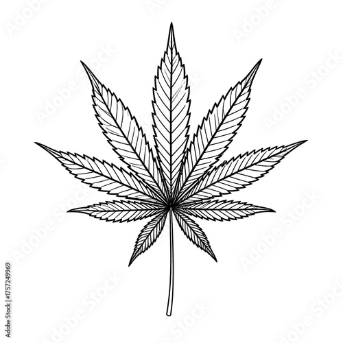 Black and white illustration of a cannabis leaf on a plain white background