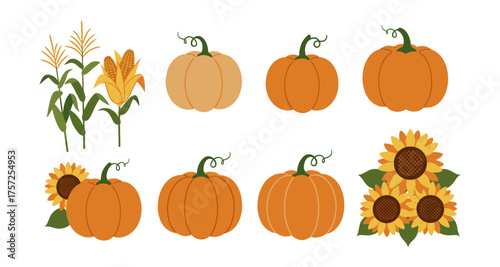 Autumn harvest collection with pumpkins, corn, and sunflowers in flat design