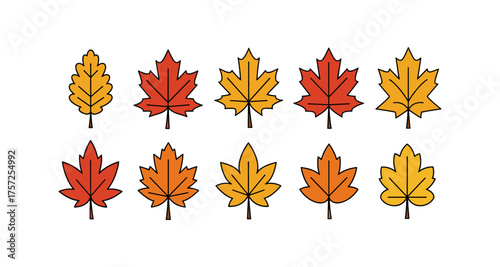 Colorful autumn leaves pattern with simple geometric designs
