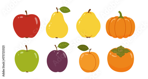 Colorful collection of autumn fruits in flat design style
