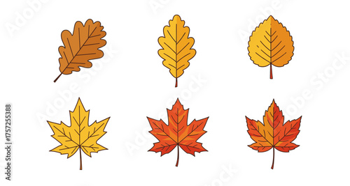 Collection of autumn leaves in flat cartoon style for seasonal design