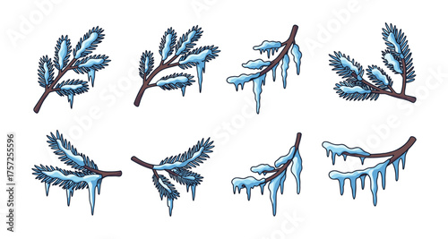 Winter evergreen branches with icicles: decorative set in hand-drawn style
