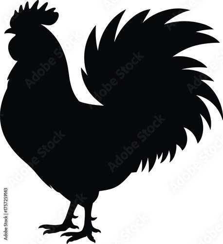 Rooster silhouette illustration, farm animal figure, standing bird posture, nature design artwork, isolated black chicken, rural lifestyle vector, poultry graphic
