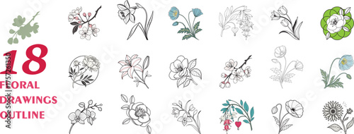 Set of 18 Floral Drawings Outline illustrations in various styles